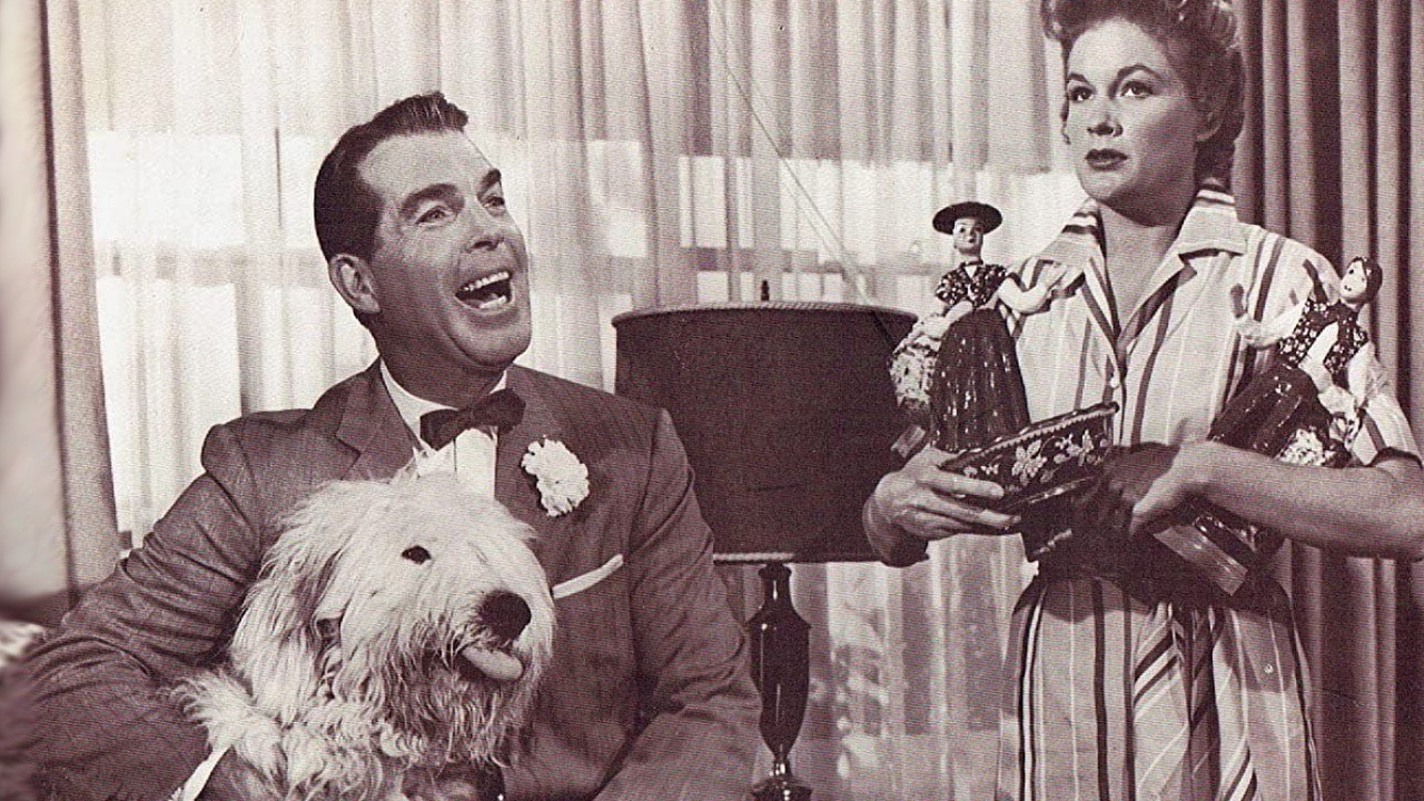 The Shaggy Dog Collection background